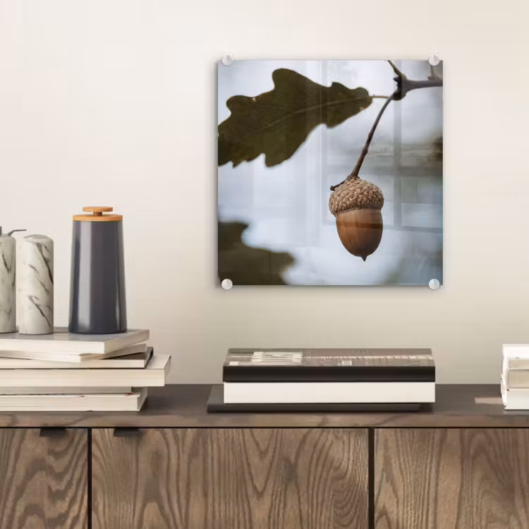 Glas schilderij - Eikel - Eikenblad - Bos - Herfst - Natuur — 2