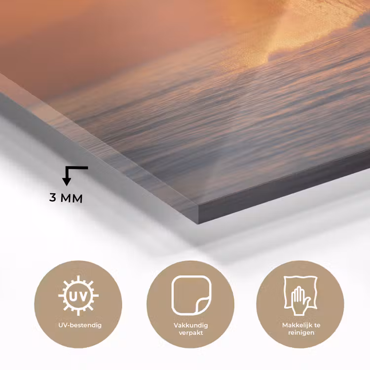 Glas schilderij - Walvis - Zon - Zee — 3