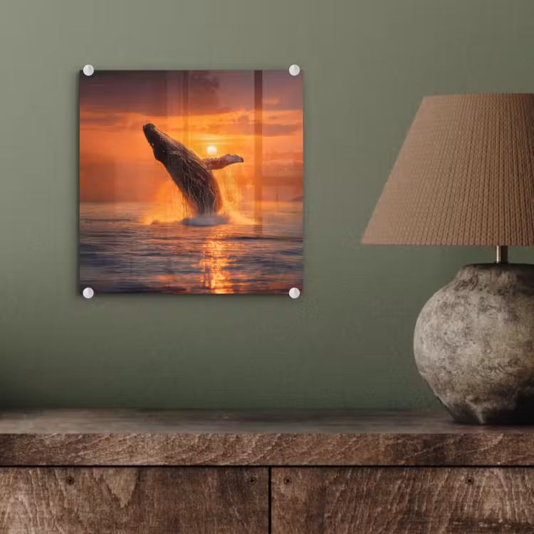 Glas schilderij - Walvis - Zon - Zee — 4
