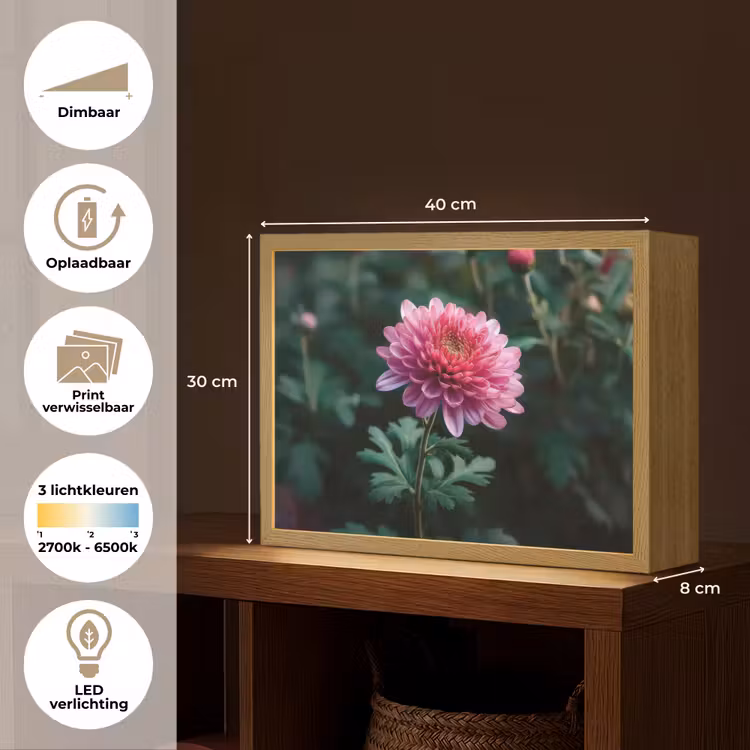 Lightbox - Wandlamp - Blad - Chrysant - Roze - Schaduw — 10