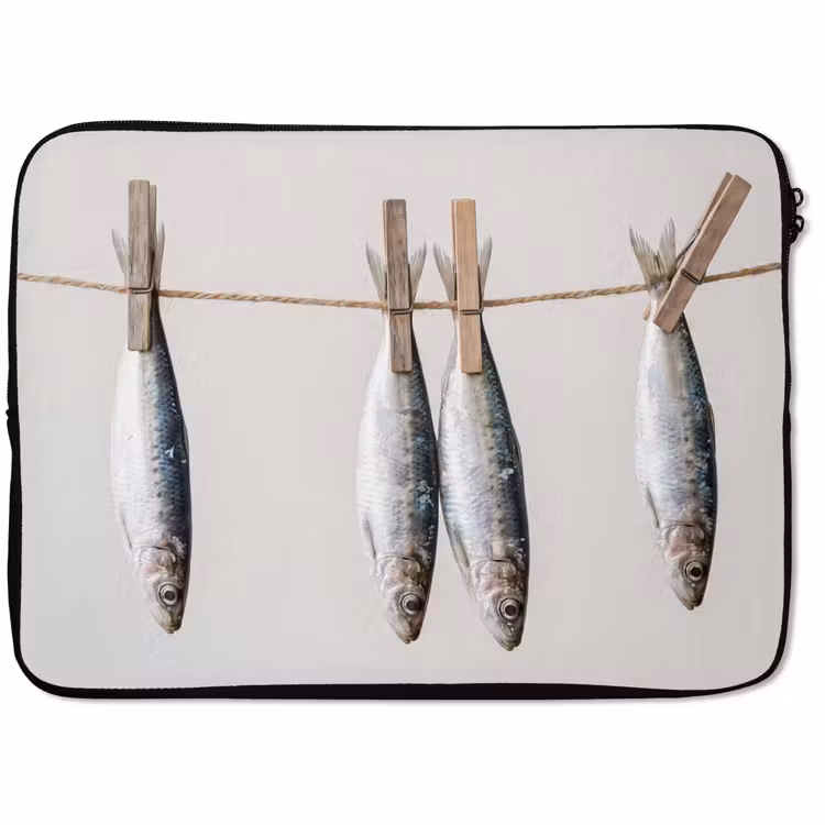 Laptophoes - Vis - Hangend - Eten — 1