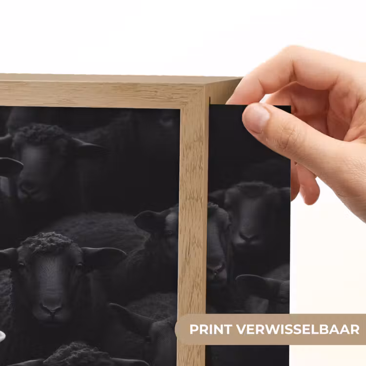 Lightbox - Wandlamp - Schapen - Wit - Duisternis — 5