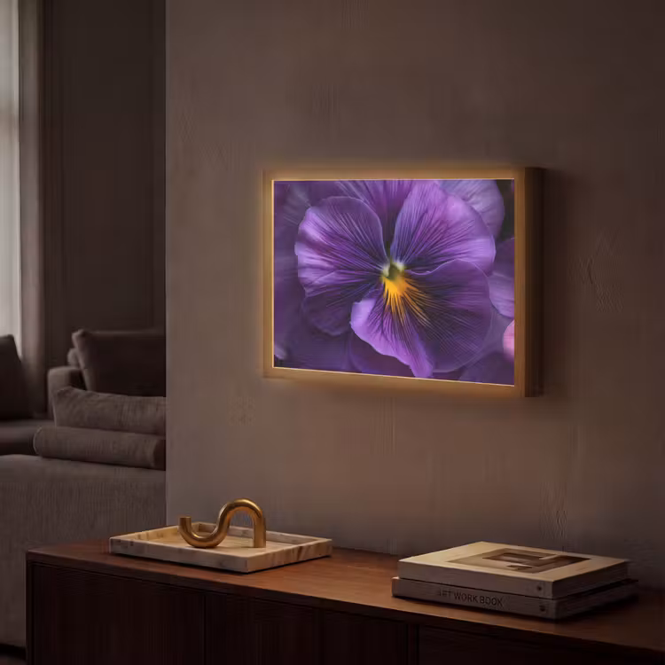Lightbox - Wandlamp - Paars - Viool - Diepte — 2