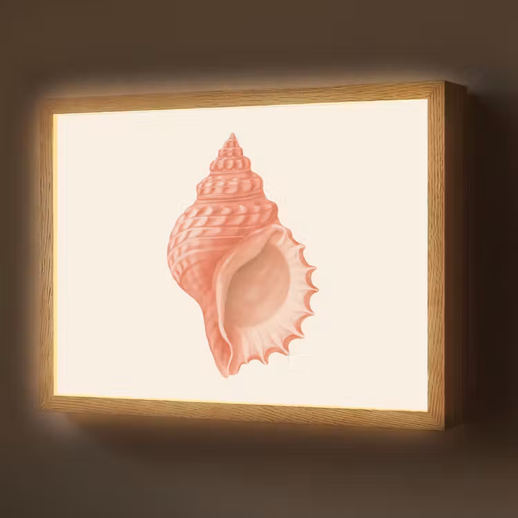 Lightbox - Wandlamp - Schelp - Roze - Structuur — 1