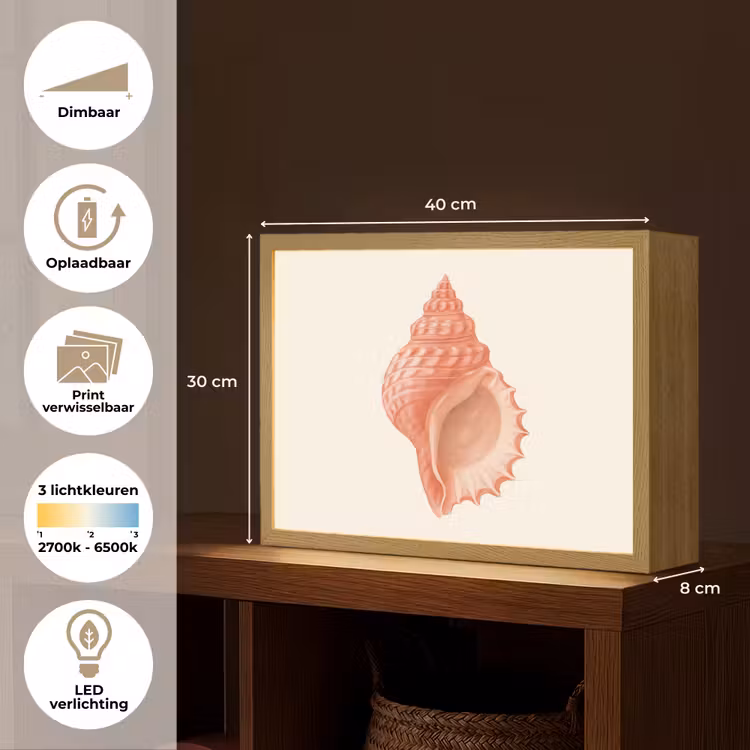 Lightbox - Wandlamp - Schelp - Roze - Structuur — 10