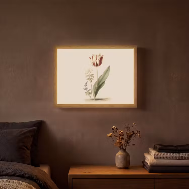 Lightbox - Wandlamp - Tulp - Minimalistisch - Beige — 3