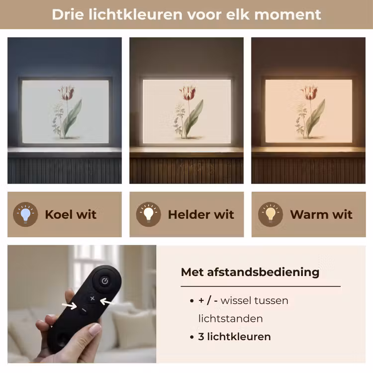 Lightbox - Wandlamp - Tulp - Minimalistisch - Beige — 8