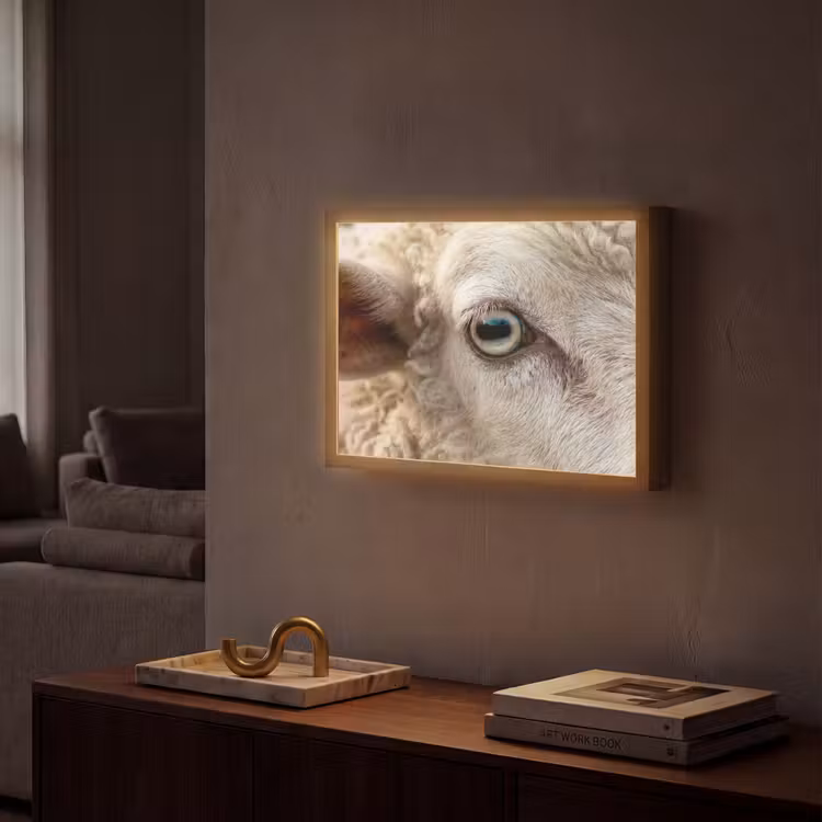 Lightbox - Wandlamp - Schaap - Oog - Wit — 2
