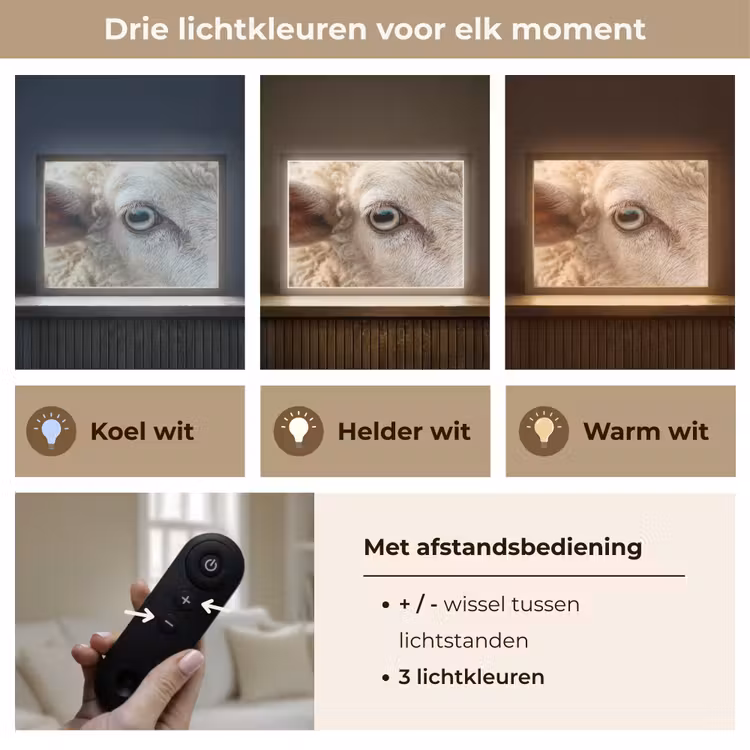 Lightbox - Wandlamp - Schaap - Oog - Wit — 8