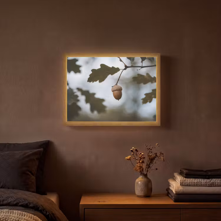 Lightbox - Wandlamp - Eikel - Eikenblad - Bos - Herfst - Natuur — 3