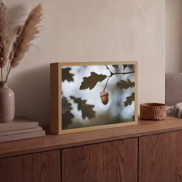 Lightbox - Wandlamp - Eikel - Eikenblad - Bos - Herfst - Natuur — 4