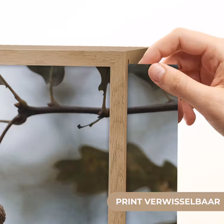 Lightbox - Wandlamp - Eikel - Eikenblad - Bos - Herfst - Natuur — 5