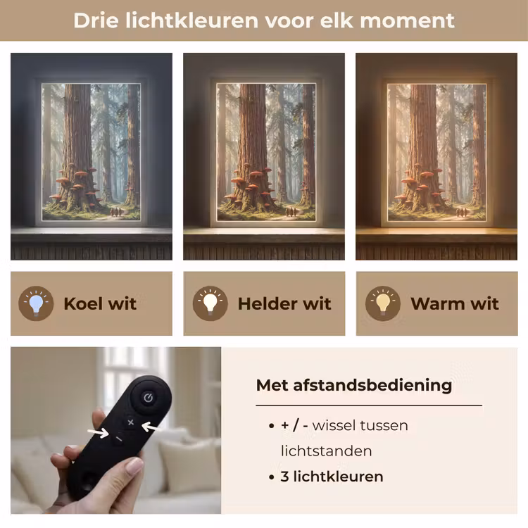 Lightbox - Wandlamp - Bos - Bomen - Natuur — 7