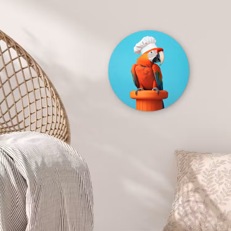 Muurcirkel - Ara - Koksmuts - Sokkel - Grappig — 5
