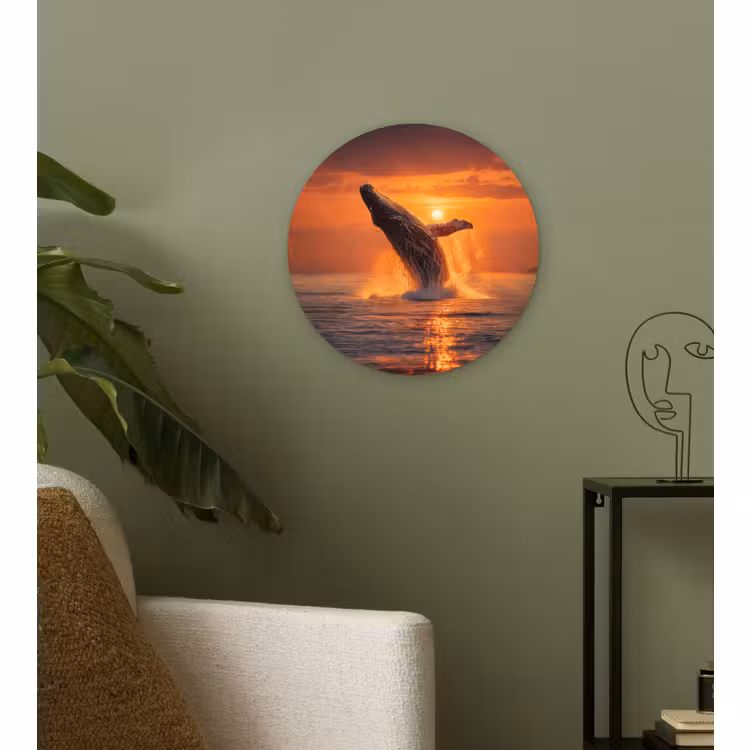 Muurcirkel - Walvis - Zon - Zee — 3