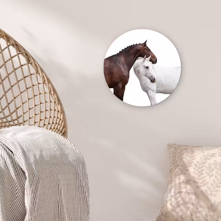 Muurcirkel - Paard - Modern - Balans — 5