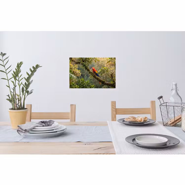 Muursticker - Ara - Jungle - Rood — 3