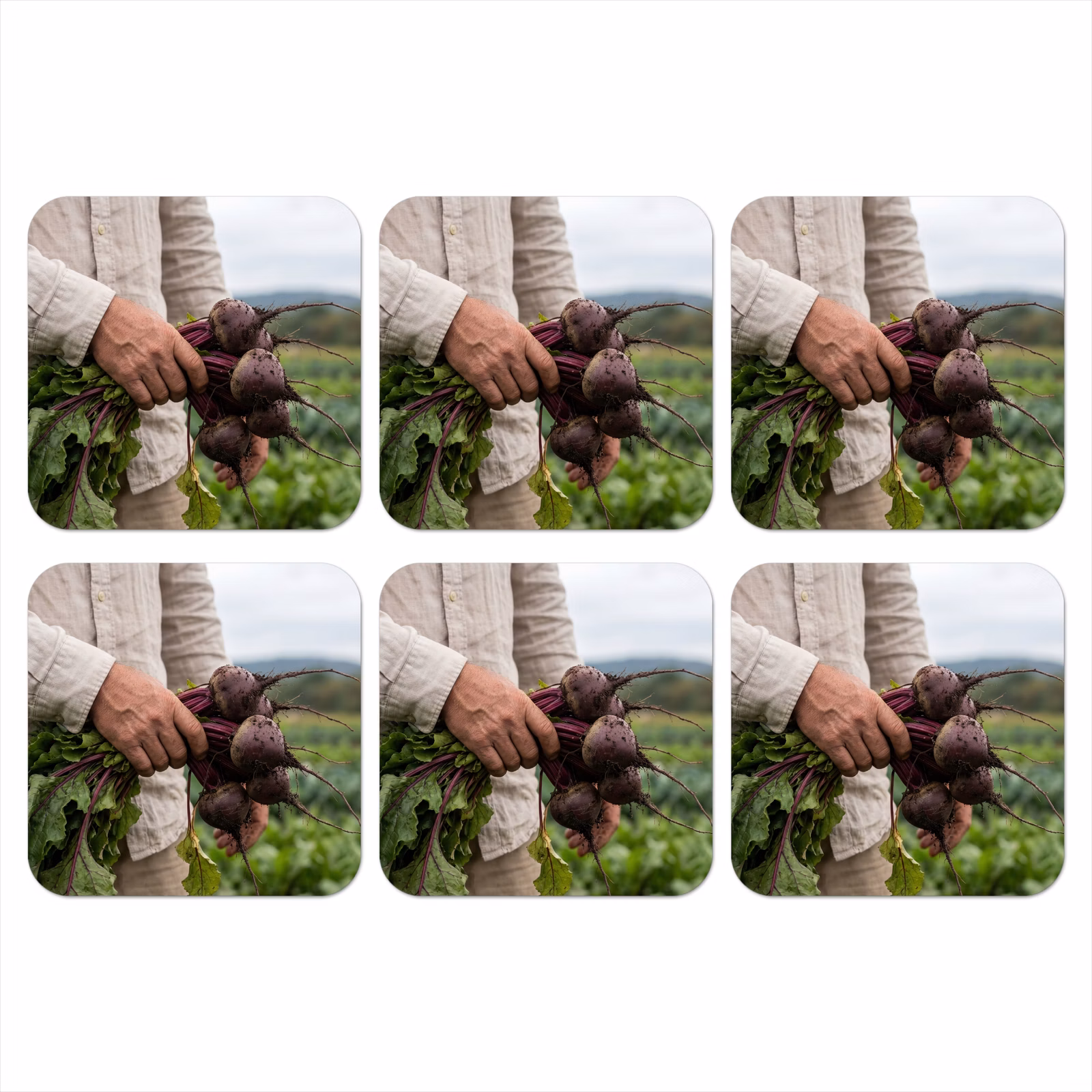 Onderzetter - Bieten - Vers - Moestuin — 1