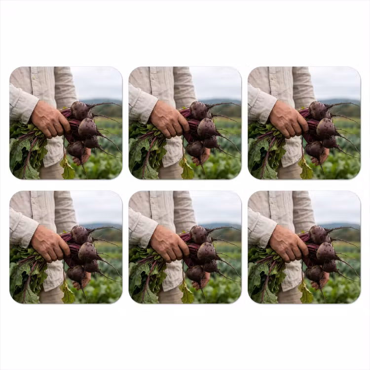 Onderzetter - Bieten - Vers - Moestuin — 1