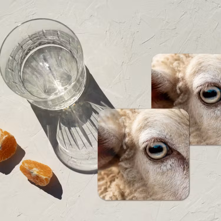 Onderzetter - Schaap - Oog - Wit — 2