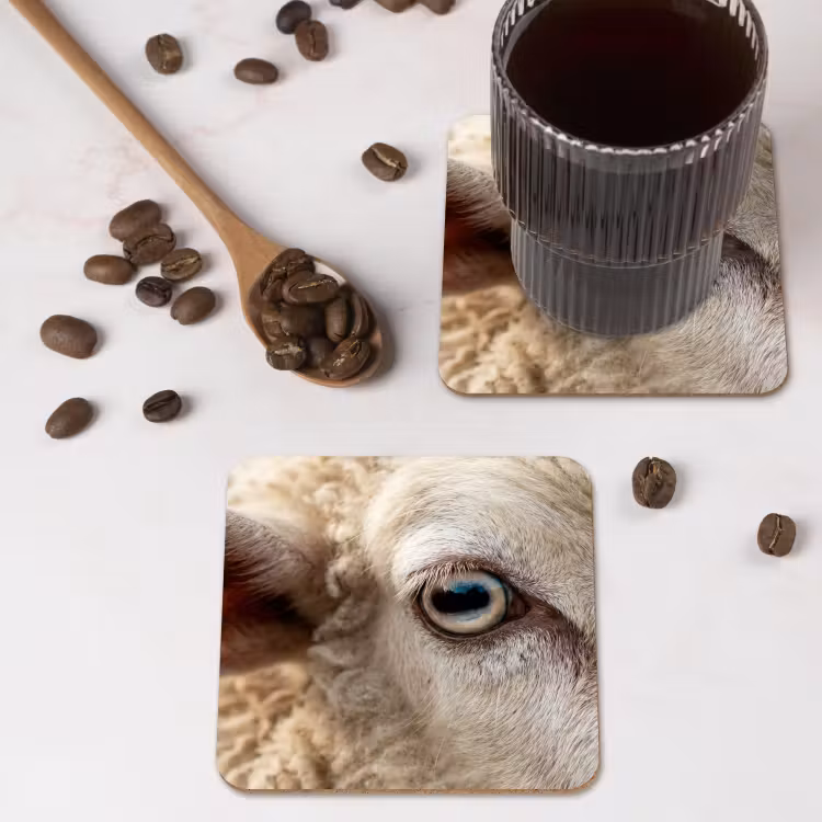 Onderzetter - Schaap - Oog - Wit — 4