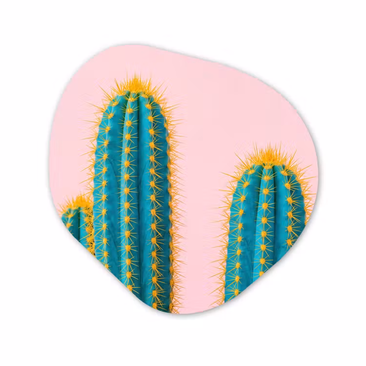Organisch schilderij - Forex - Cactussen - Modern - Pastel — 1