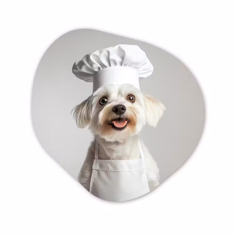 Organisch schilderij - Glas - Hond - Wit - Kok — 1