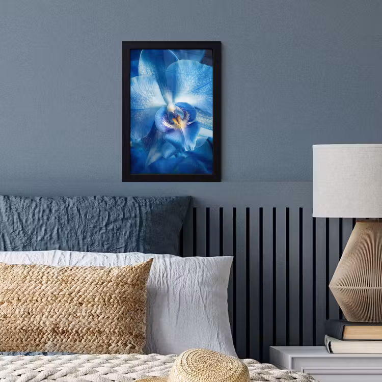 Poster met lijst - Blauw - Orchidee - Elegeant — 4