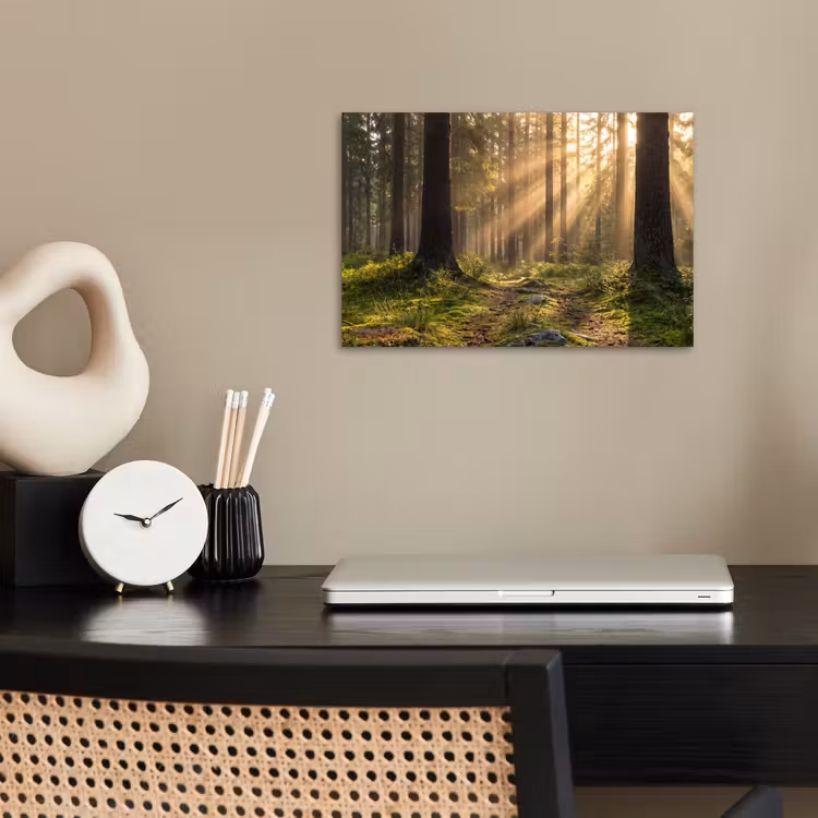 poster - Bos - Zonlicht - Gras — 2