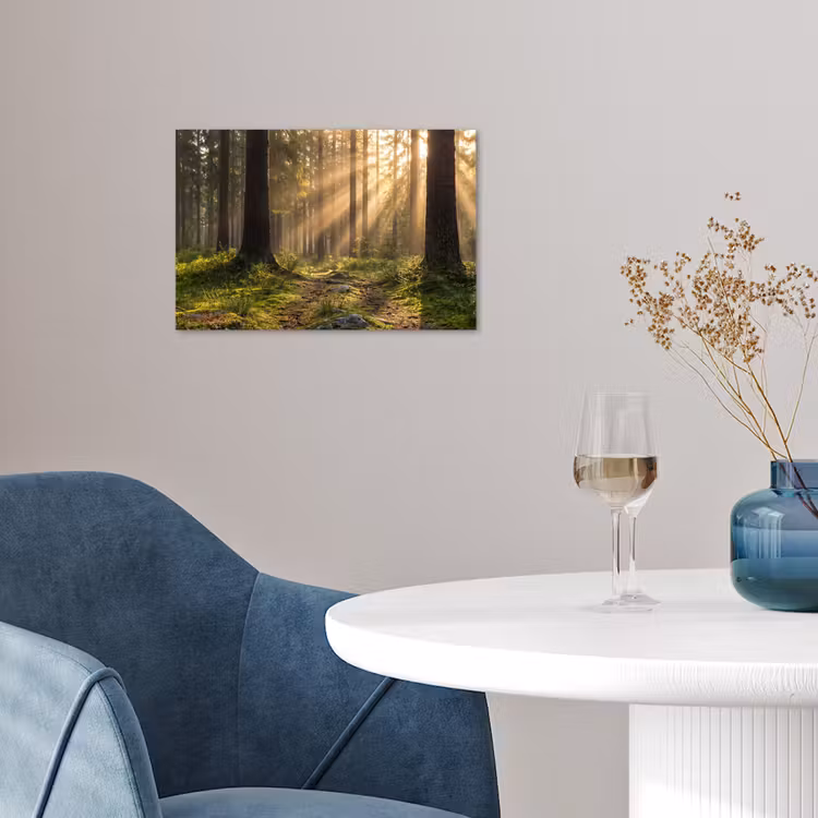 poster - Bos - Zonlicht - Gras — 4