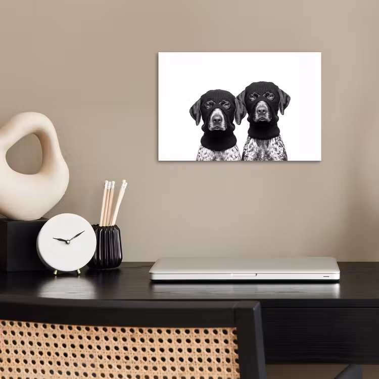 poster - Honden - Bivakmuts - Zwart - wit — 2