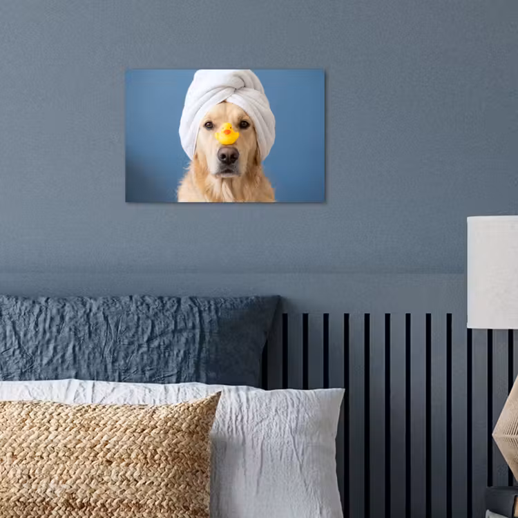 poster - Hond - Badeend - Geel — 3