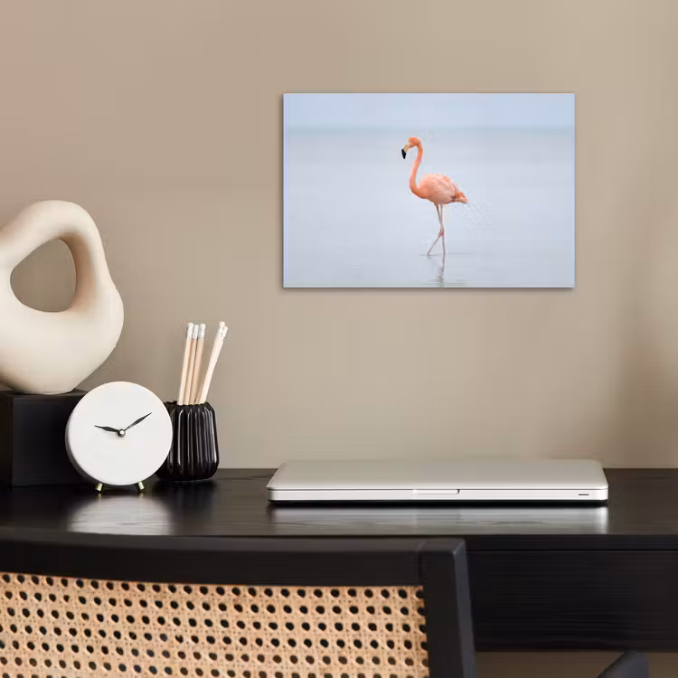 poster - Flamingo - Zee - Roze — 2