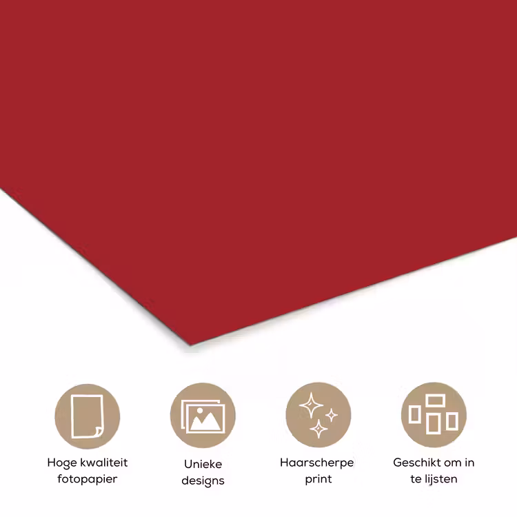 poster - Burgundy - Wine - Rood — 5