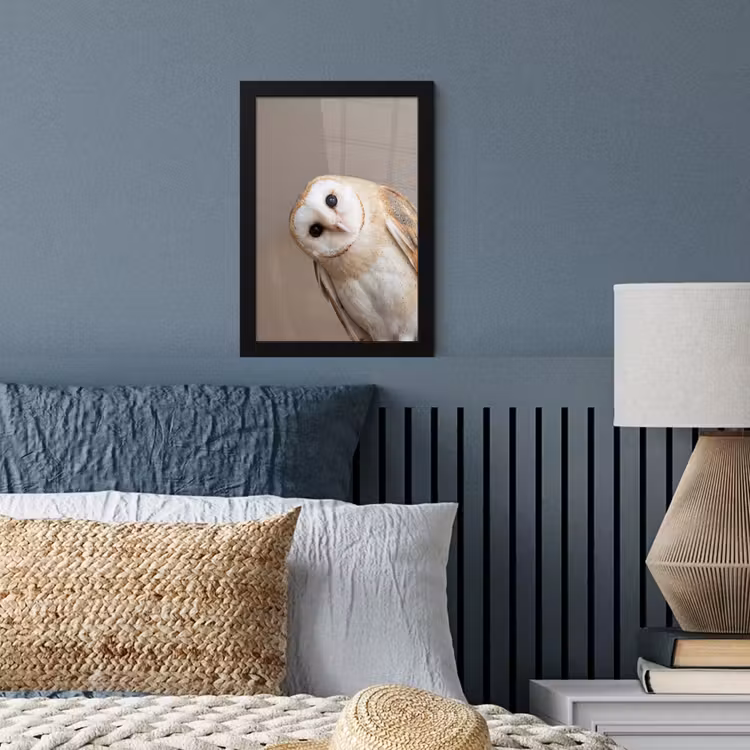 Poster met lijst - Uil - Bruin - Wit — 4
