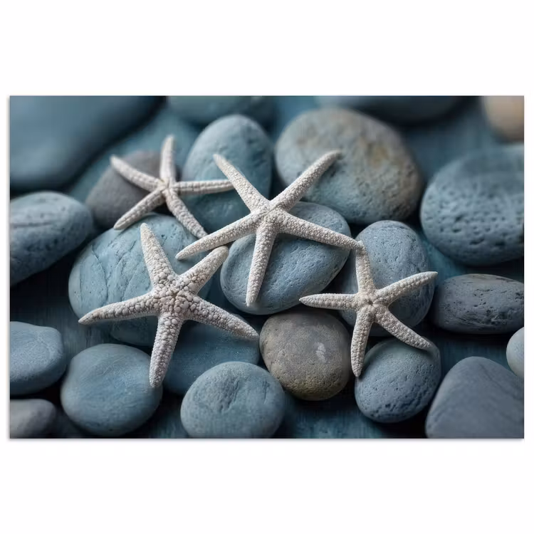 poster - Zeesterren - Stenen - Wit — 1