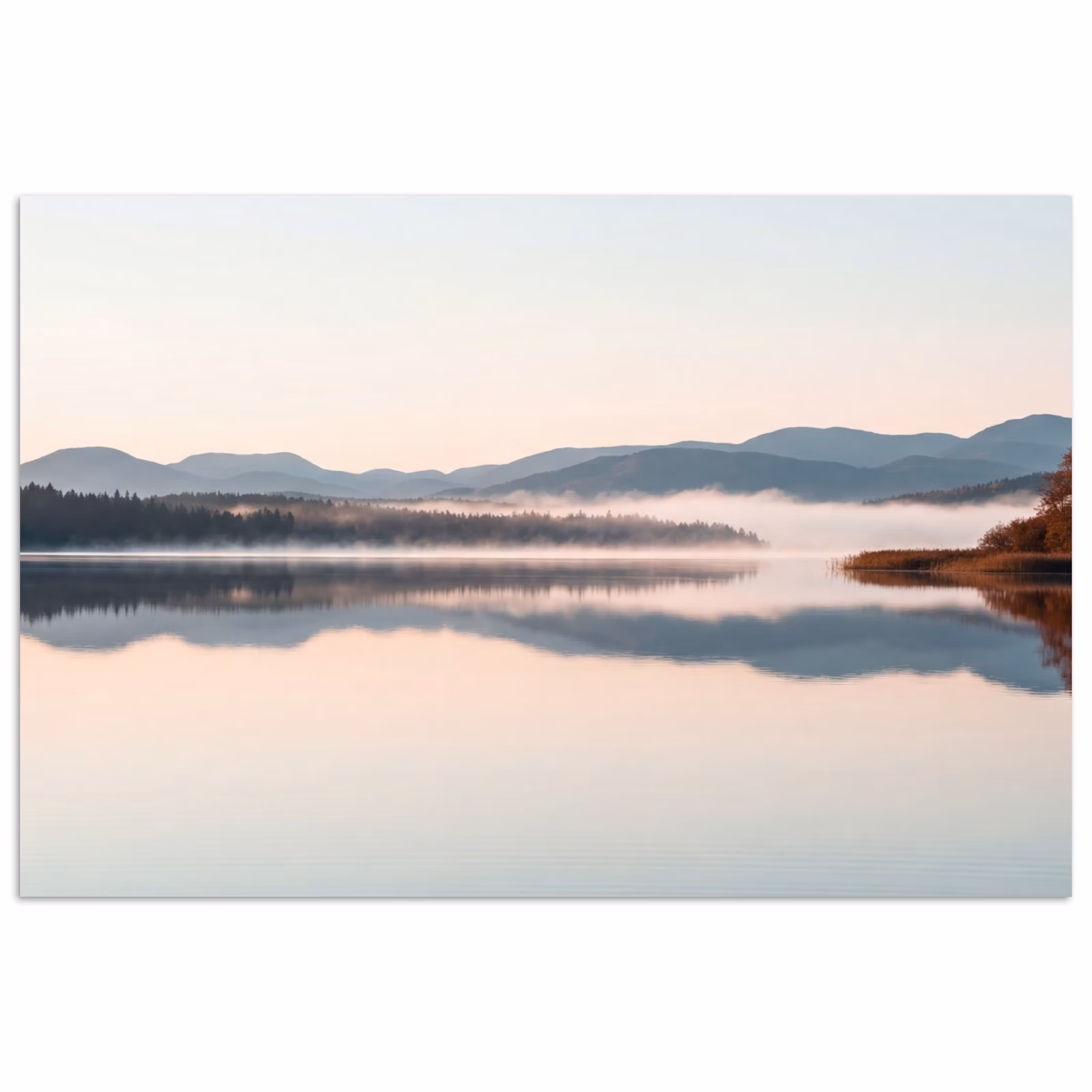 poster - Water - Bomen - Mistlaag — 1