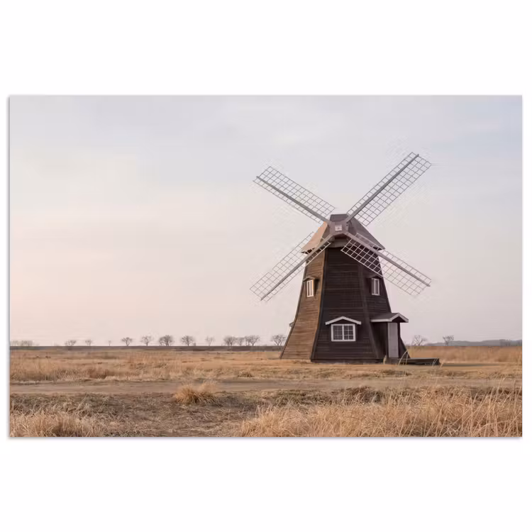 poster - Windmolens - Landschap - Veld — 1