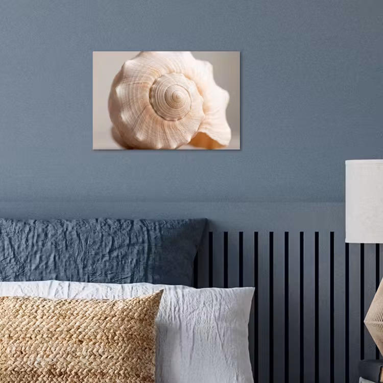 poster - Schelp - Detail - Beige — 3