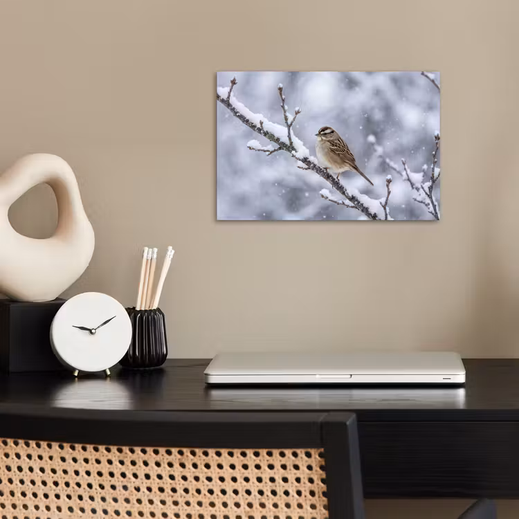 poster - Vogel - Tak - Sneeuw - Winter — 2