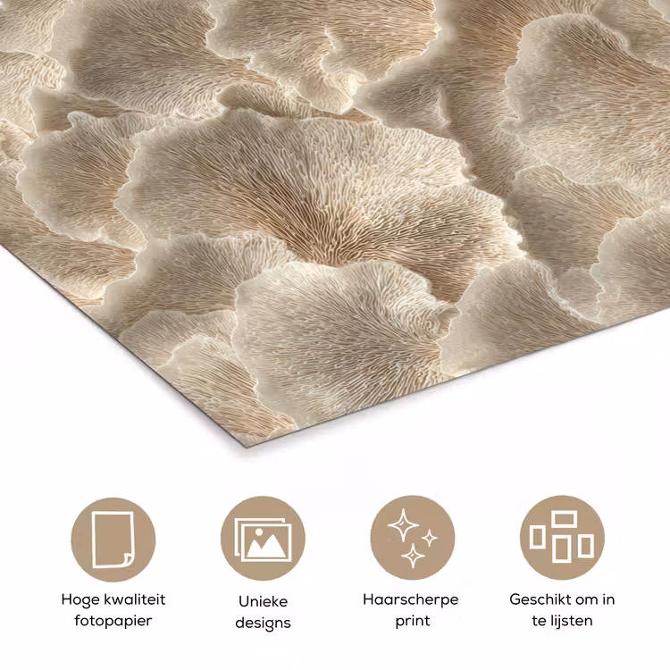 poster - Waaierstructuren - Beige - Vezeltextuur — 5