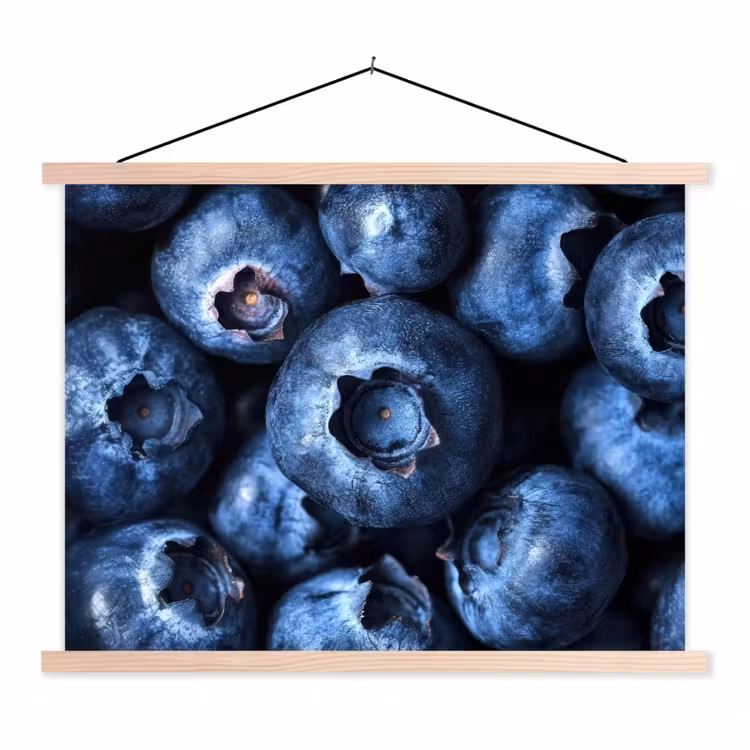 Schoolplaat - Bessen - Blauw - Fruit — 1