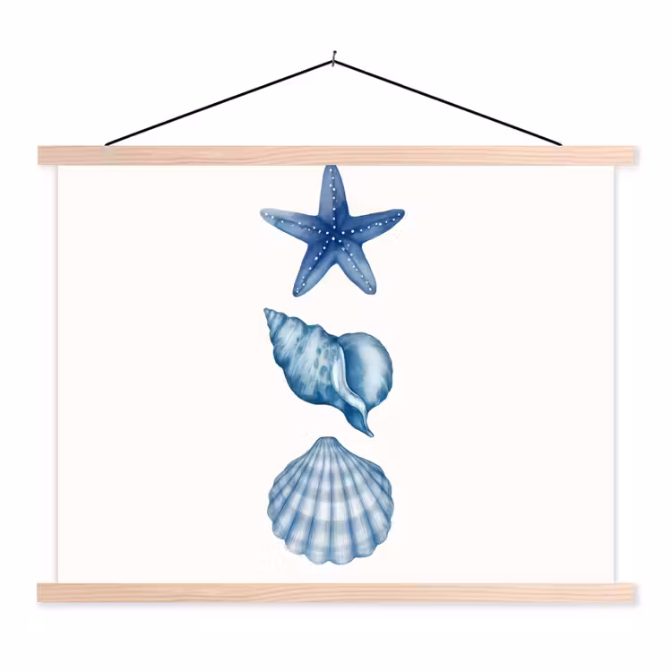 Schoolplaat - Zeester - Schelpen - Blauw — 1