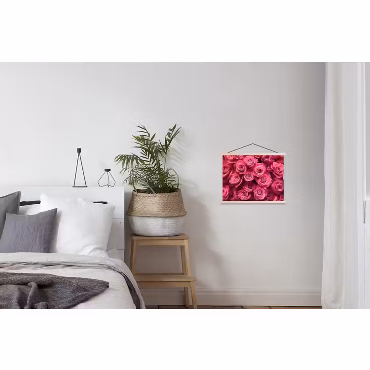 Schoolplaat - Rozen - Pink - Bloem — 2