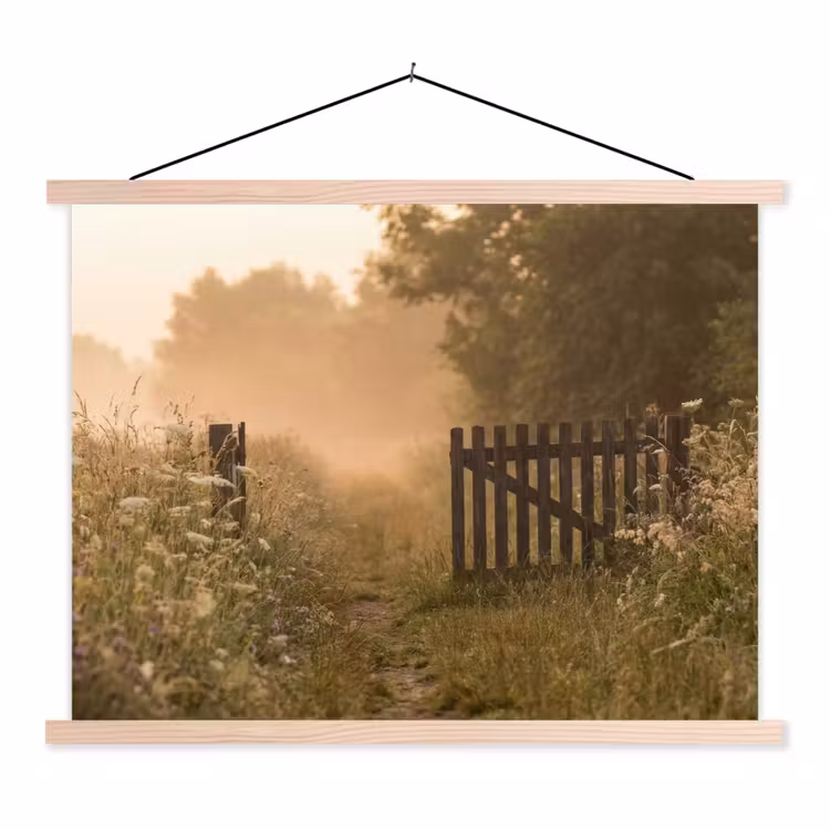 Schoolplaat - Hek - Natuur - Mist - Veld — 1