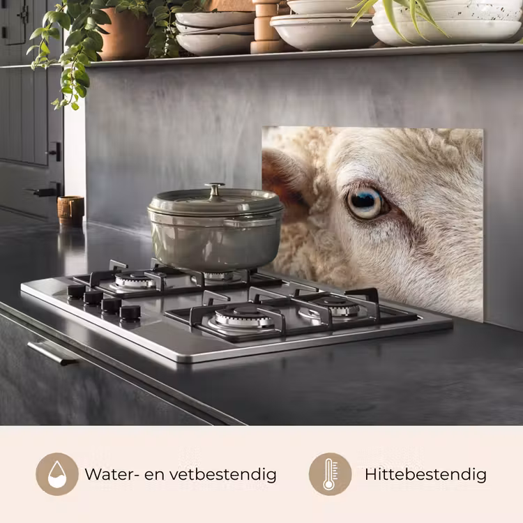 Spatscherm keuken - Schaap - Oog - Wit — 7