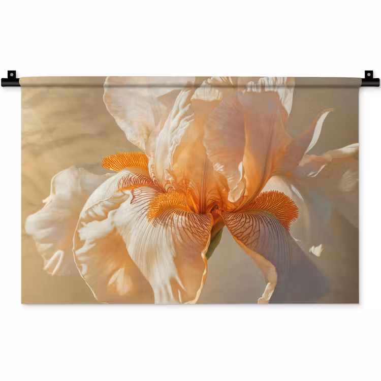 Wandkleed - Close up - Oranje - Iris — 1