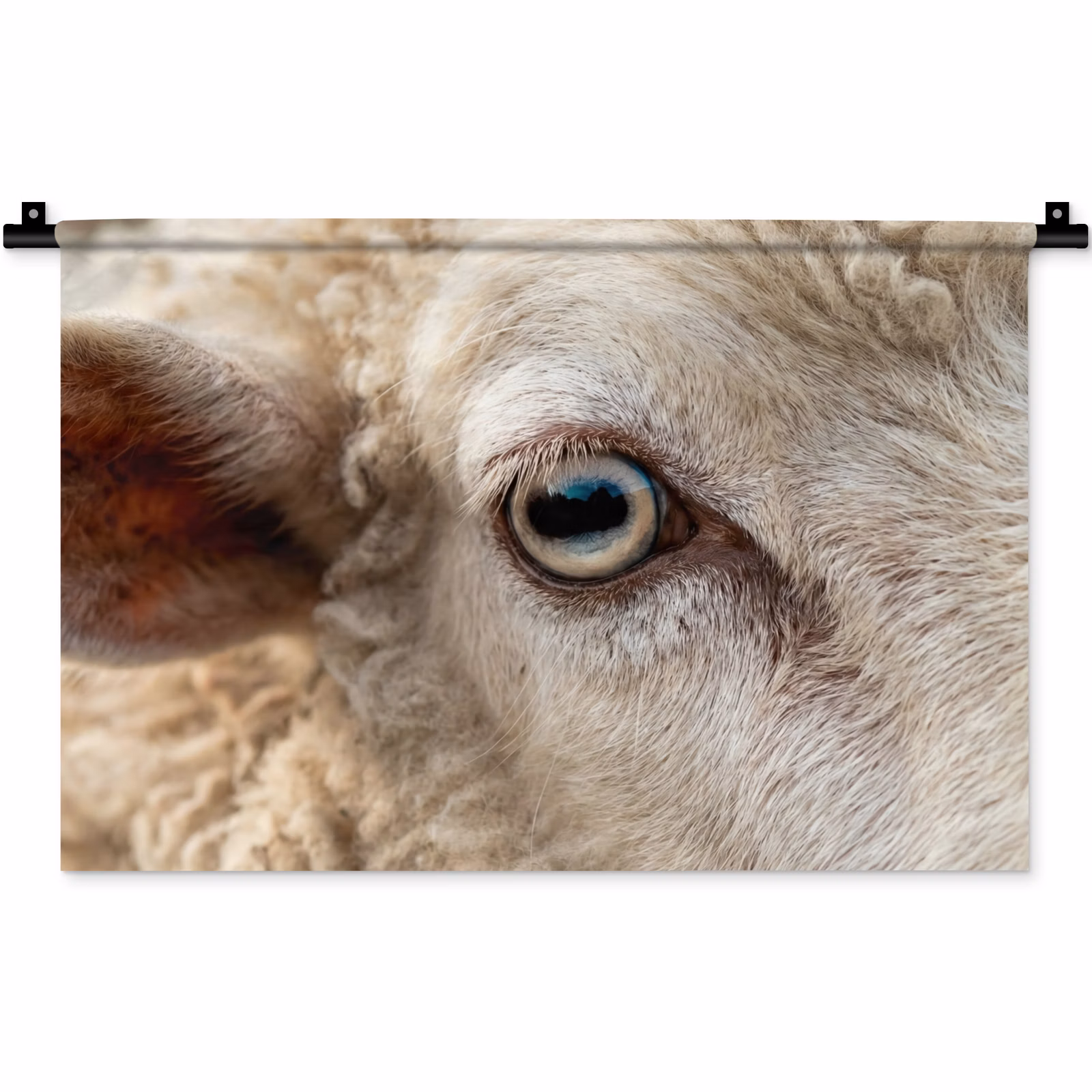 Wandkleed - Schaap - Oog - Wit — 1