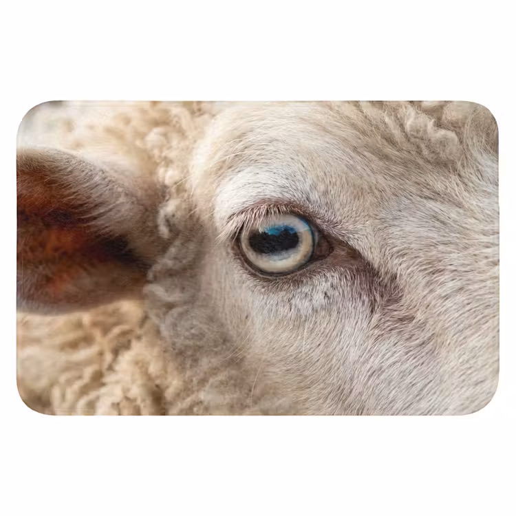 WC Mat - Schaap - Oog - Wit — 1