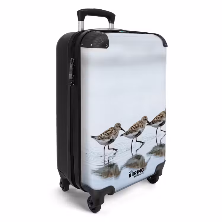CaseSwap - Vogels - Water - Grijs — 2